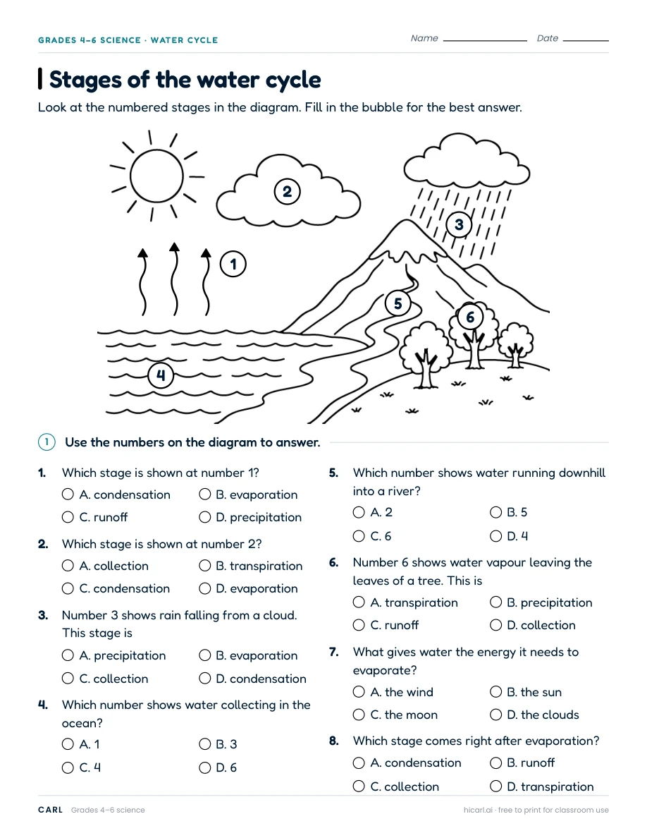Stages of the water cycle worksheet preview