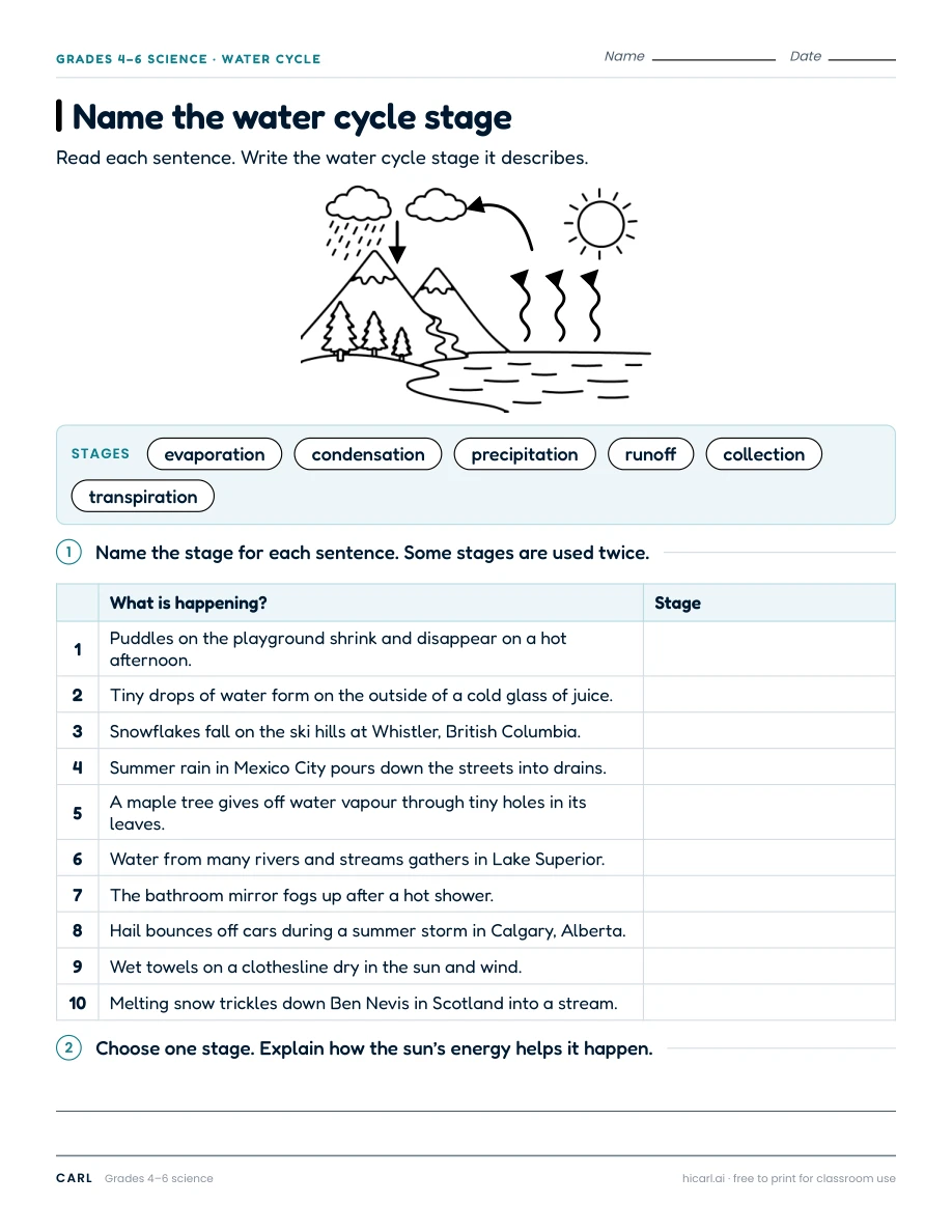 Name the water cycle stage worksheet preview