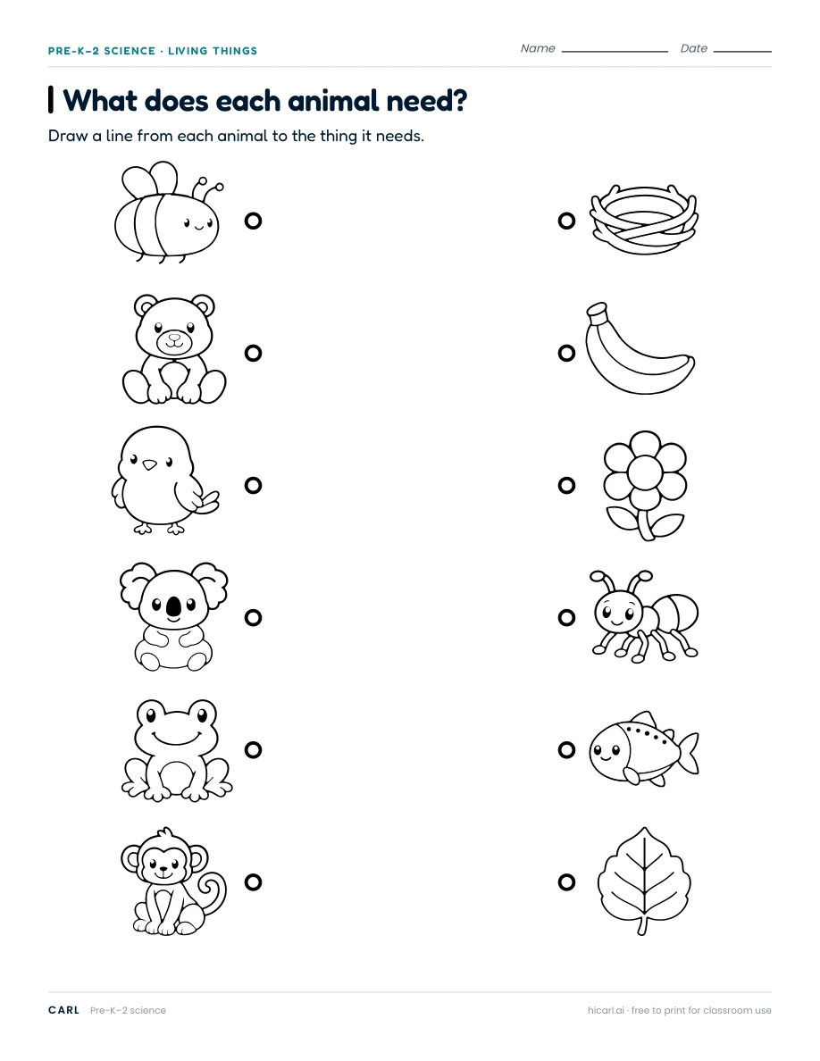 What does each animal need? worksheet preview
