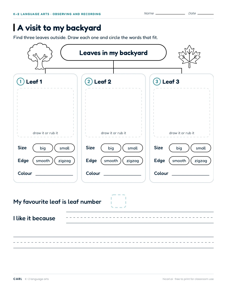 Nature observation worksheets preview
