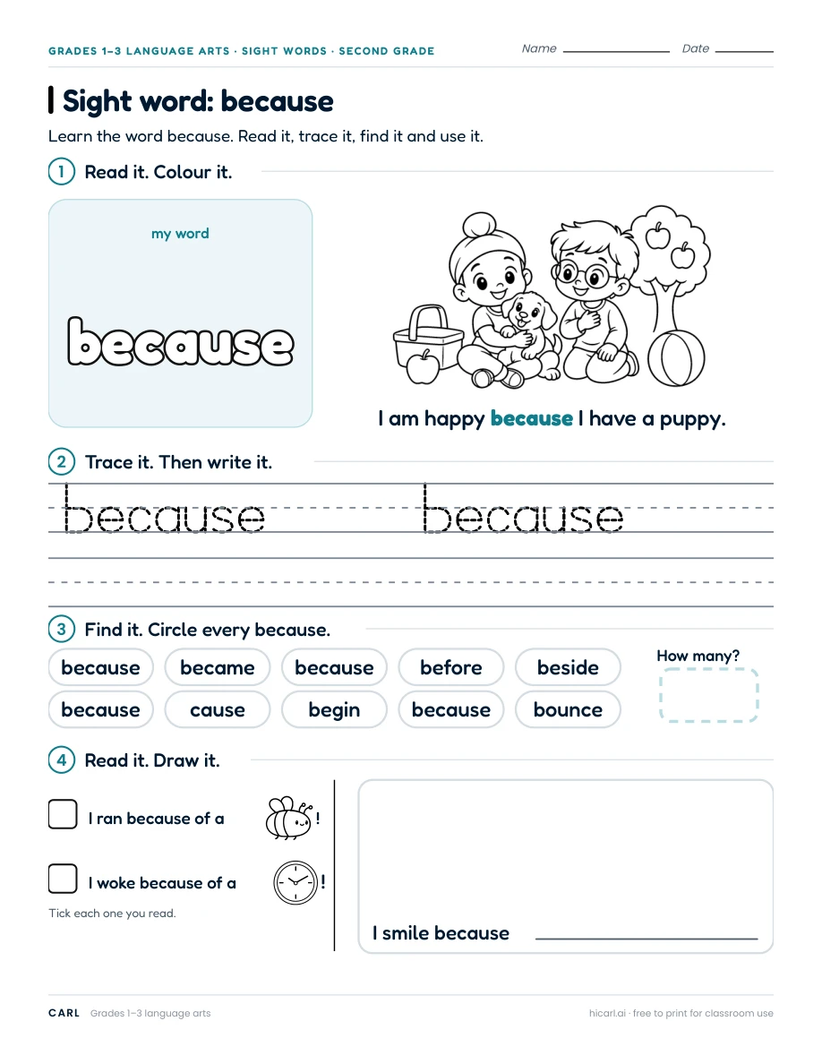 Sight word: because preview