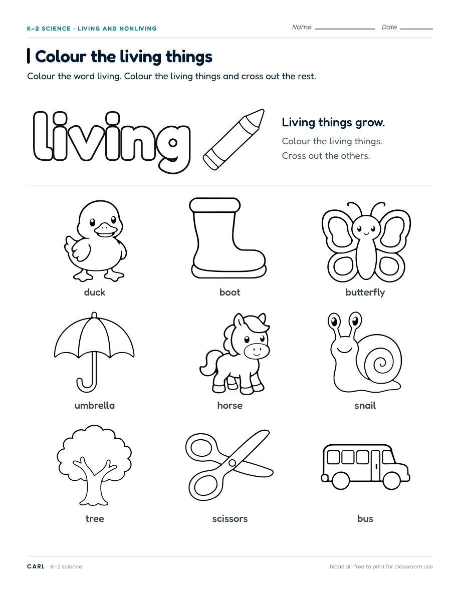 Living and nonliving things worksheets preview