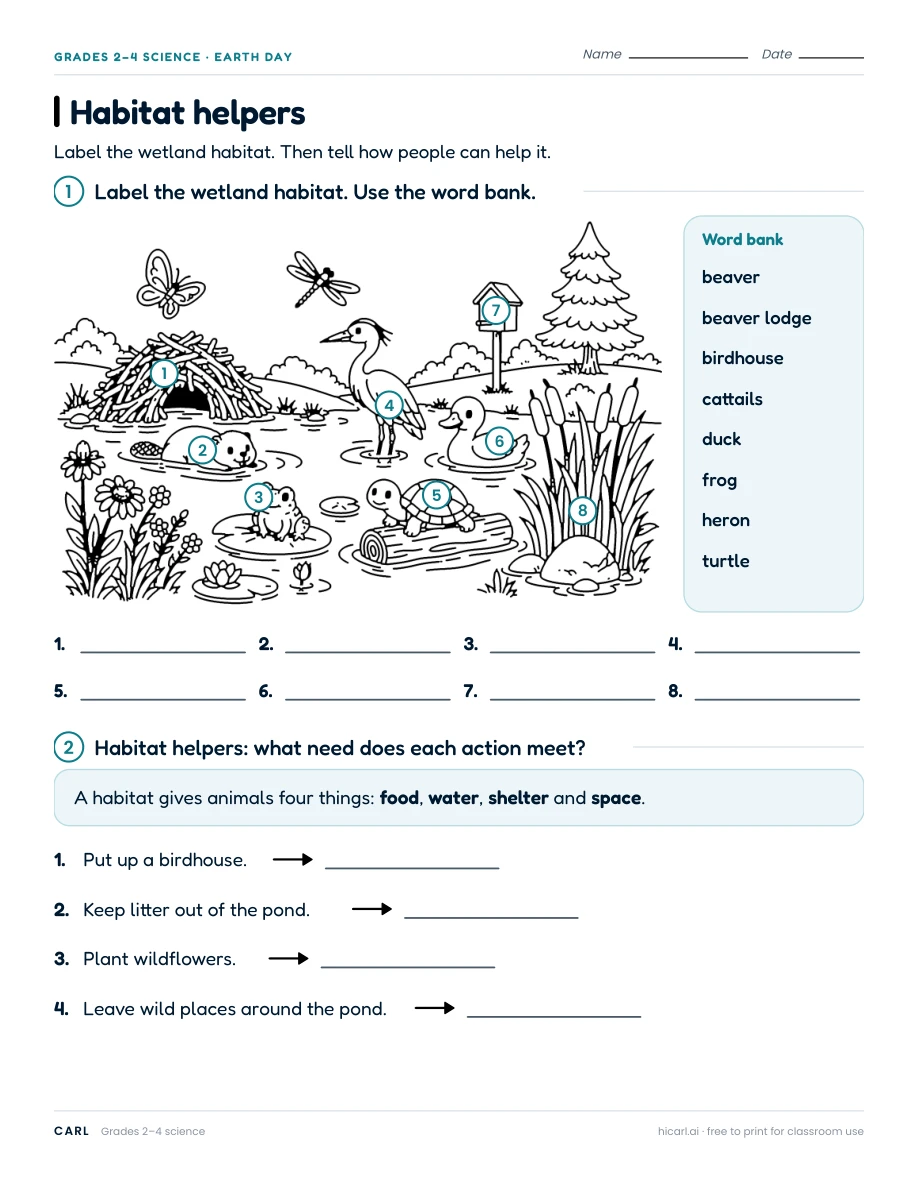 Habitats, biomes and invasive species worksheets preview