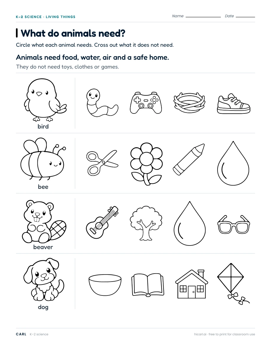 Animal needs and habitats worksheets preview