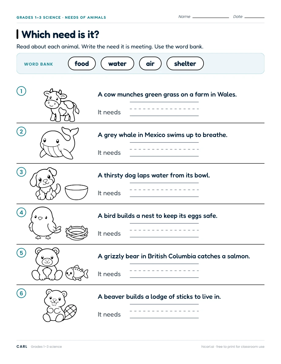 Animal needs and habitats worksheets preview
