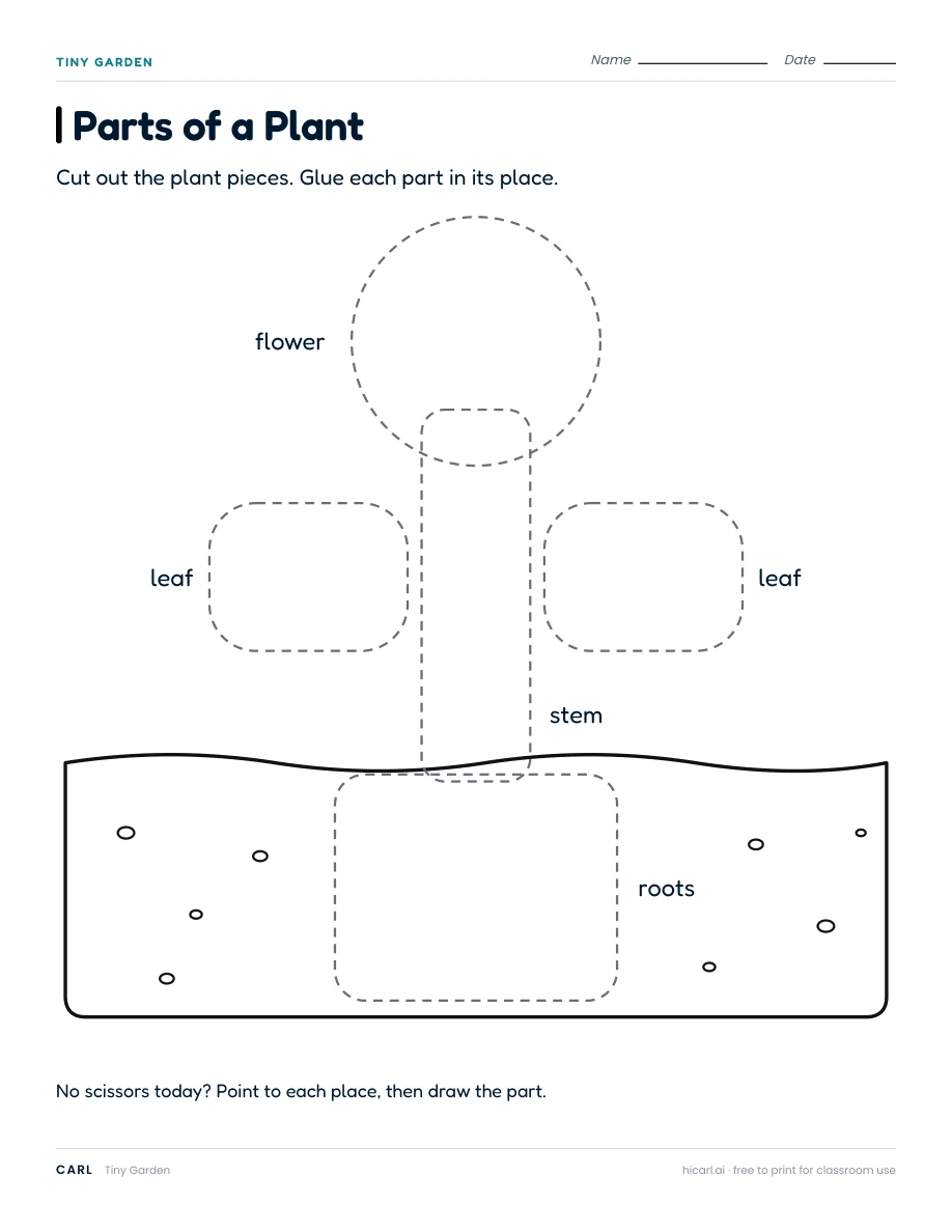 Tiny Garden: Parts of a Plant worksheet preview