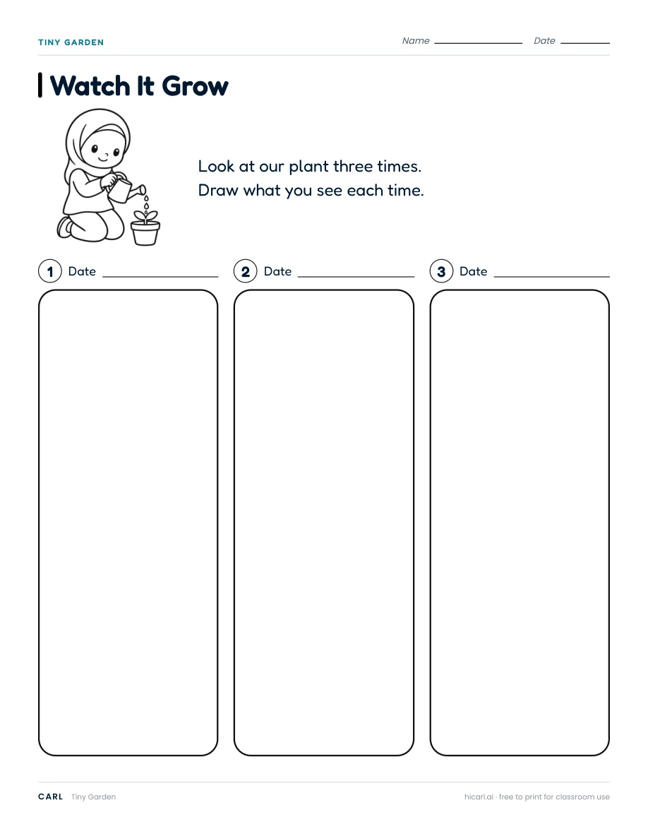 Tiny Garden: Watch It Grow worksheet preview
