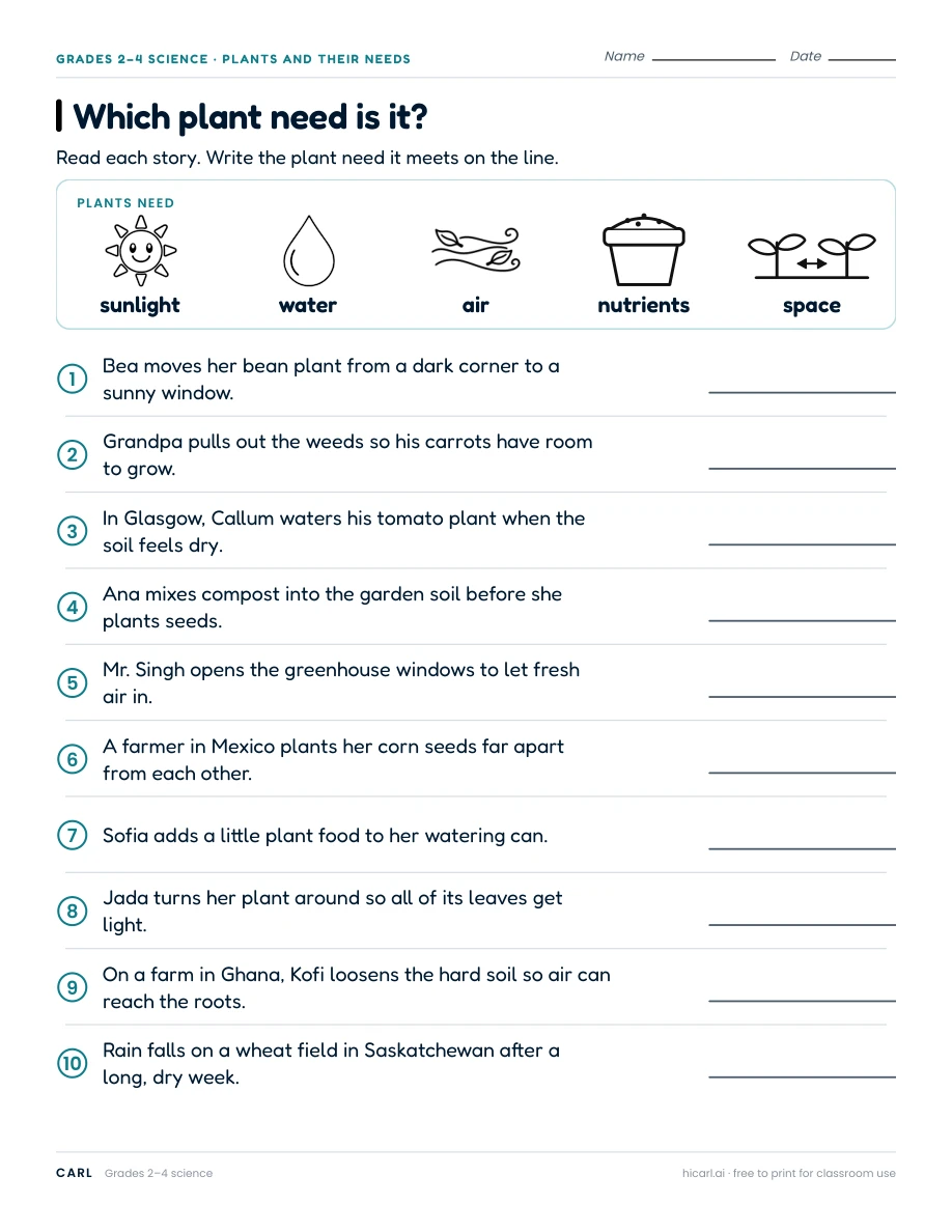 Garden plants and their needs worksheets preview