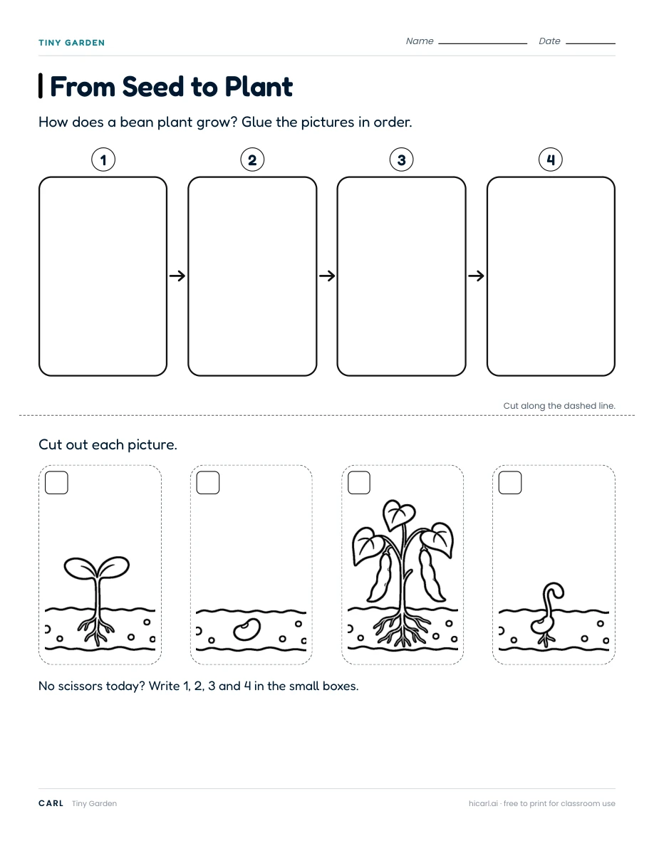 Tiny Garden activities preview