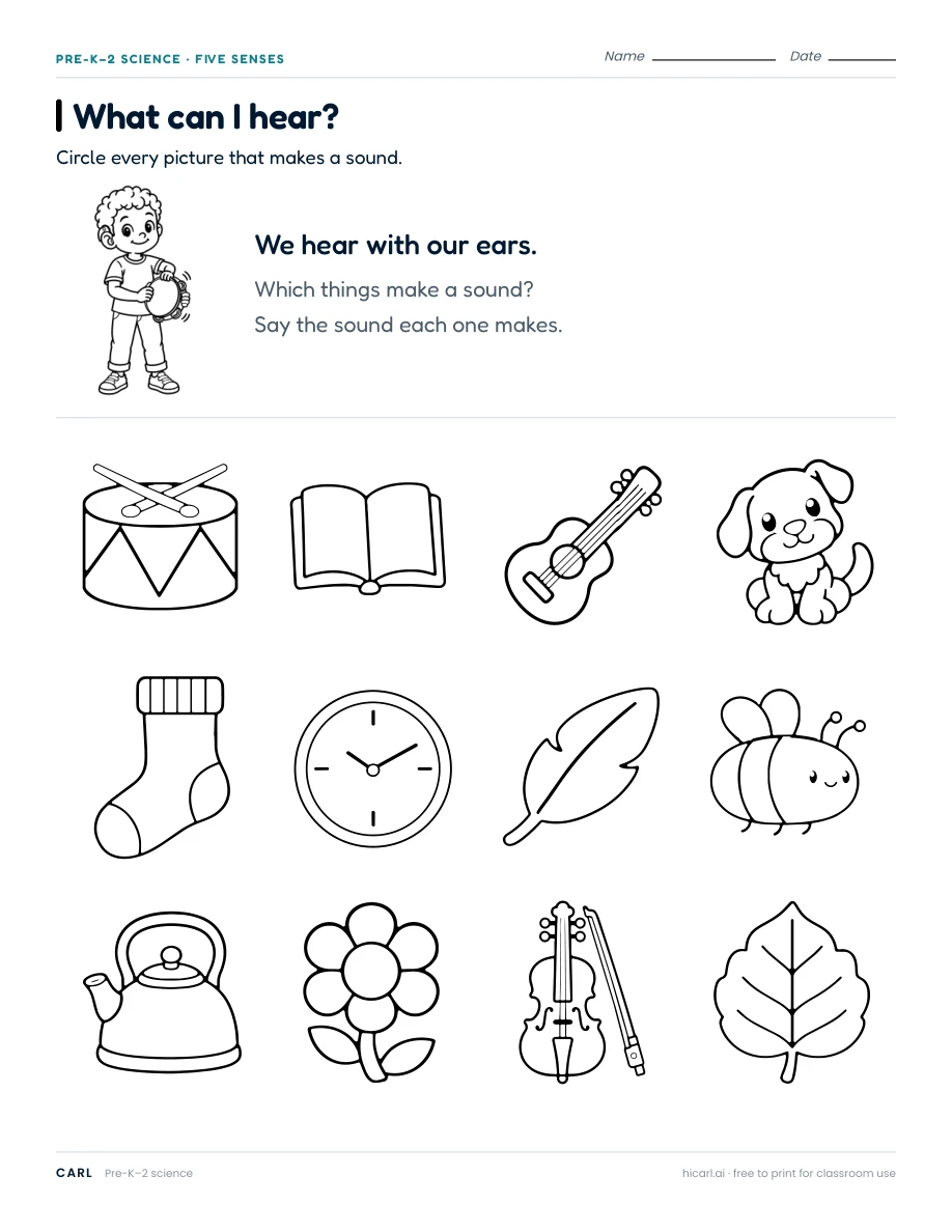 Senses and everyday needs worksheets preview