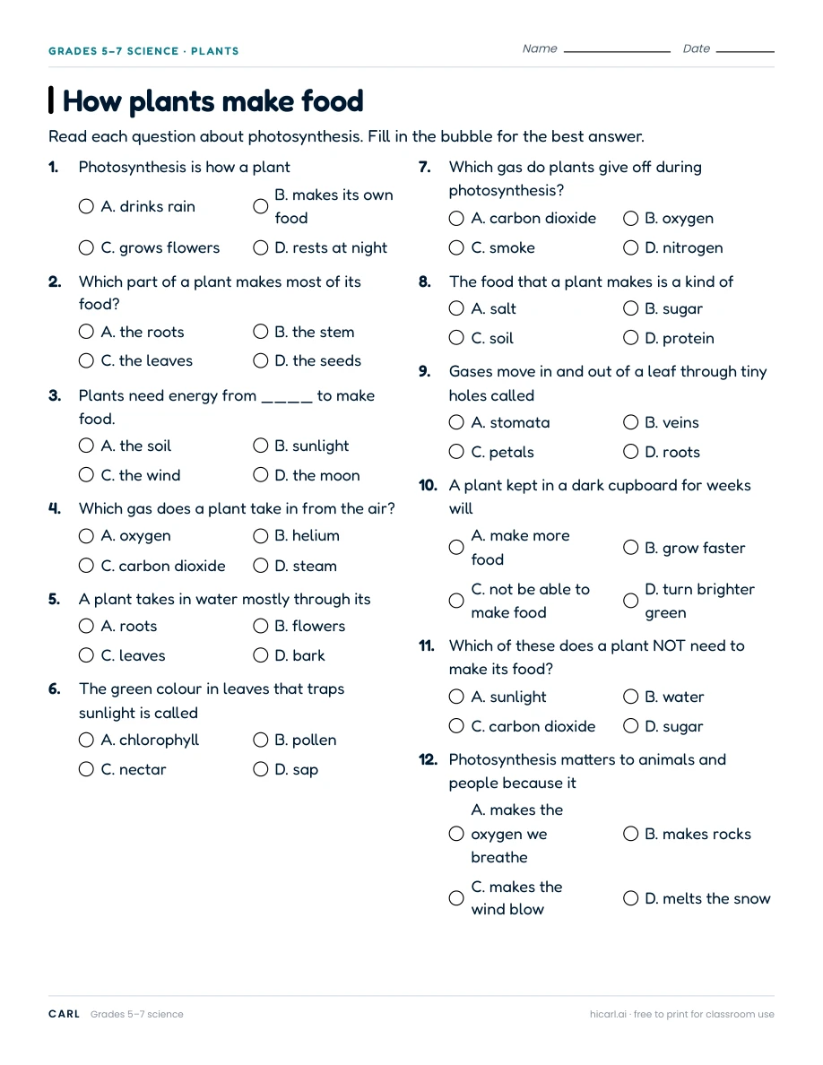 How plants make food worksheet preview