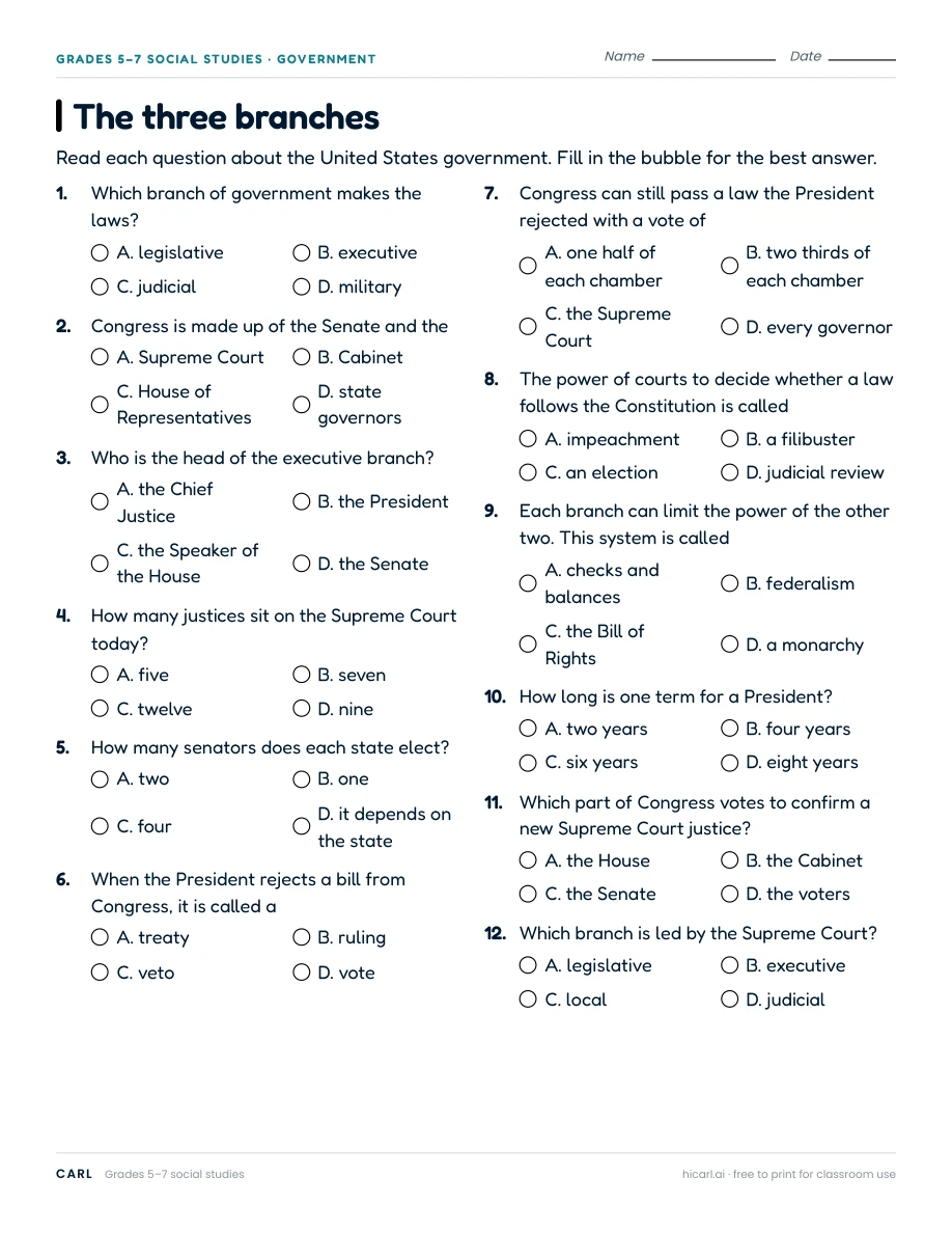 US government branches practice worksheets preview