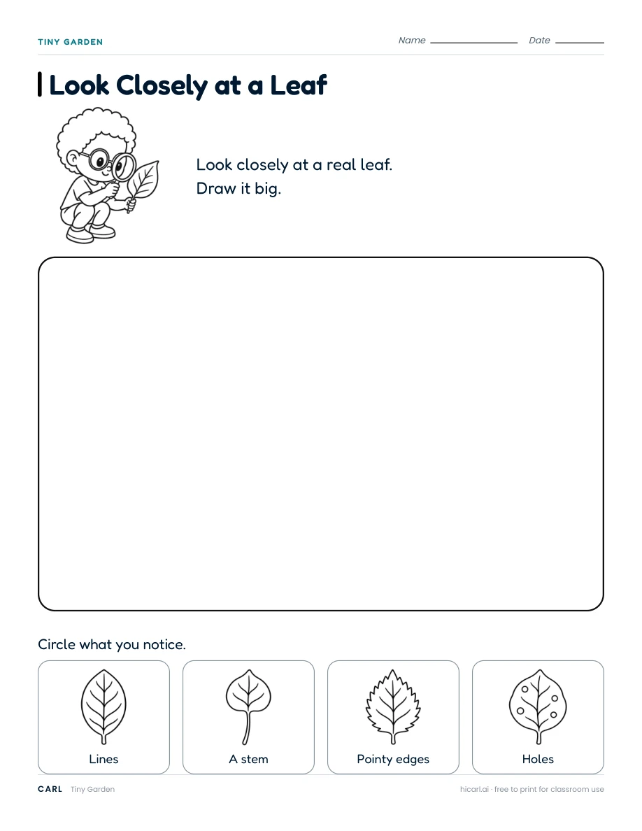 Tiny Garden activities preview