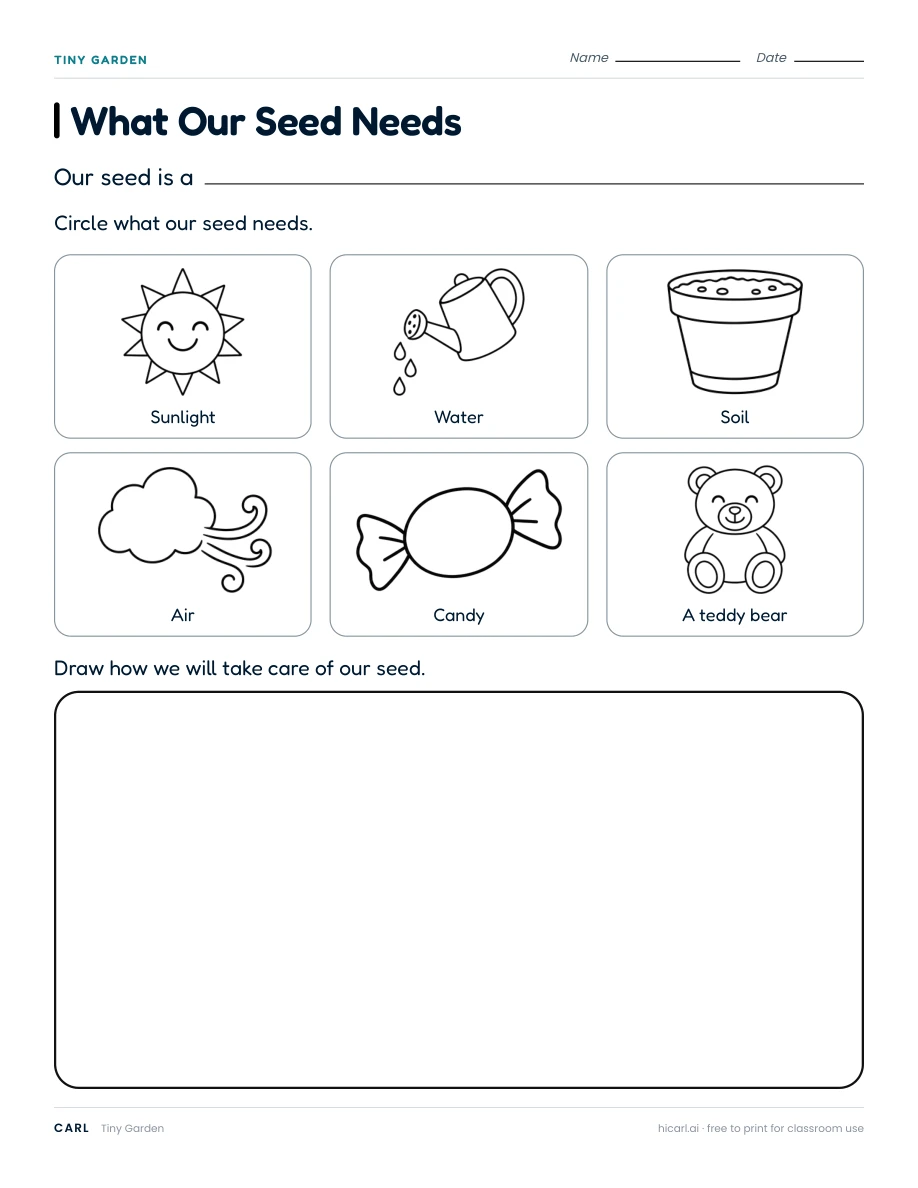 Tiny Garden: What Our Seed Needs worksheet preview