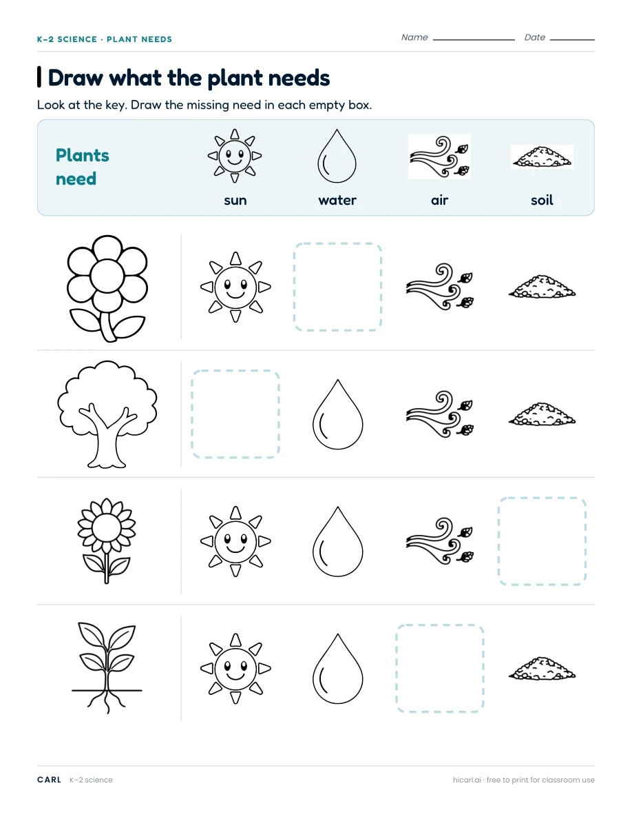Garden plants and their needs worksheets preview