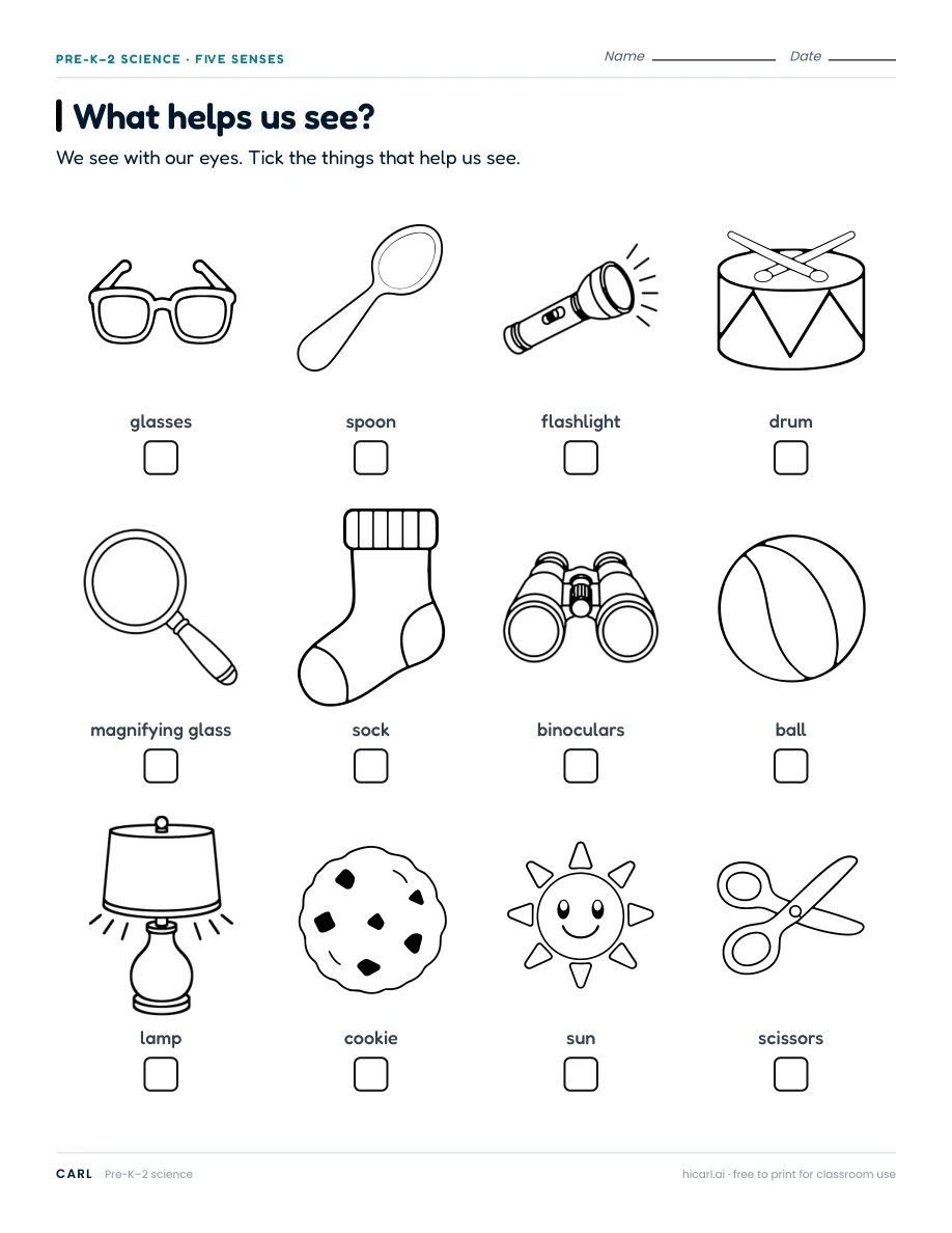 Senses and everyday needs worksheets preview