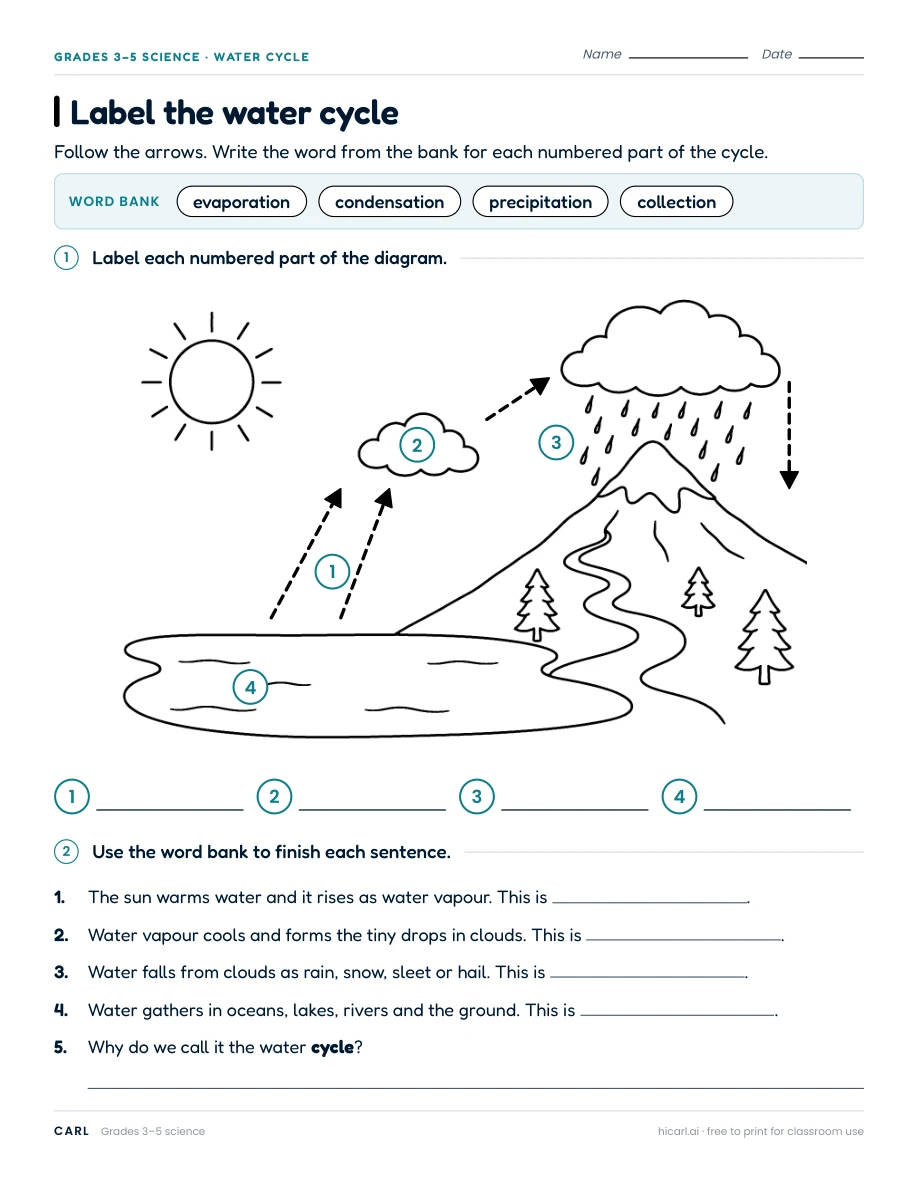Water cycle and weather map worksheets preview