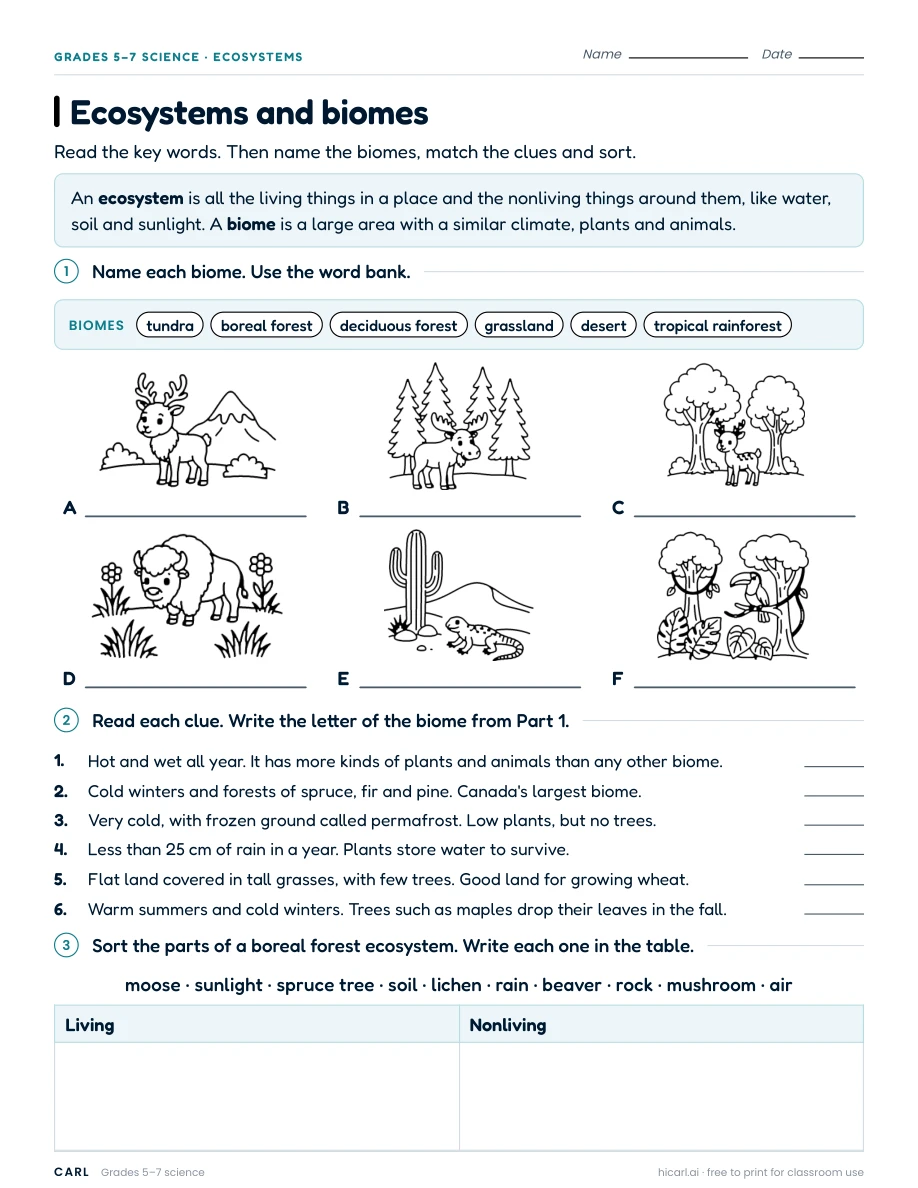 Ecosystems and biomes worksheet preview