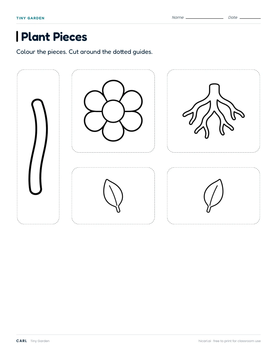Tiny Garden: Parts of a Plant included second page