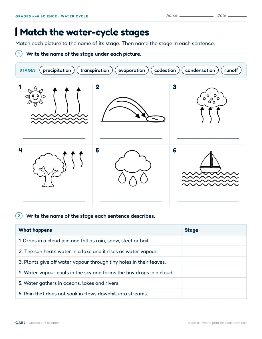 Match the water-cycle stages worksheet preview