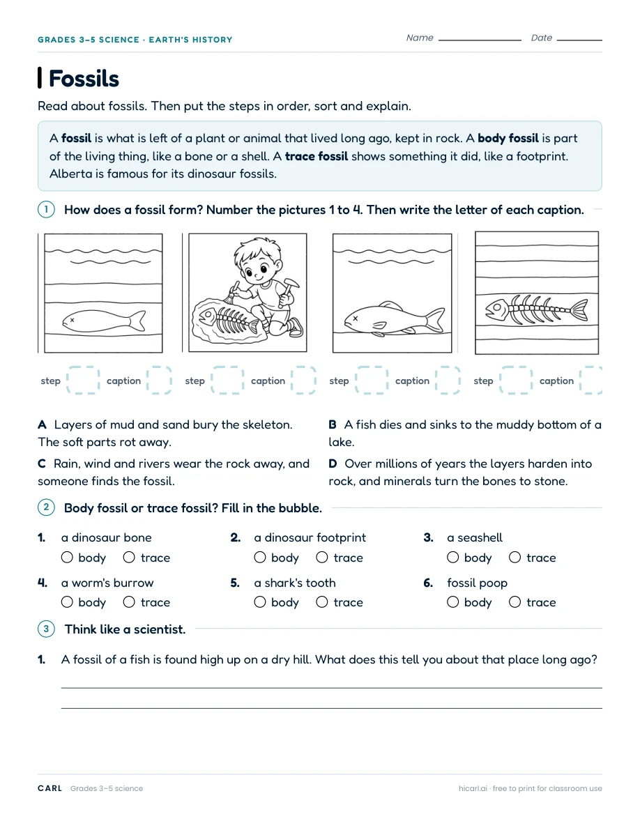 Rocks and fossils worksheets preview