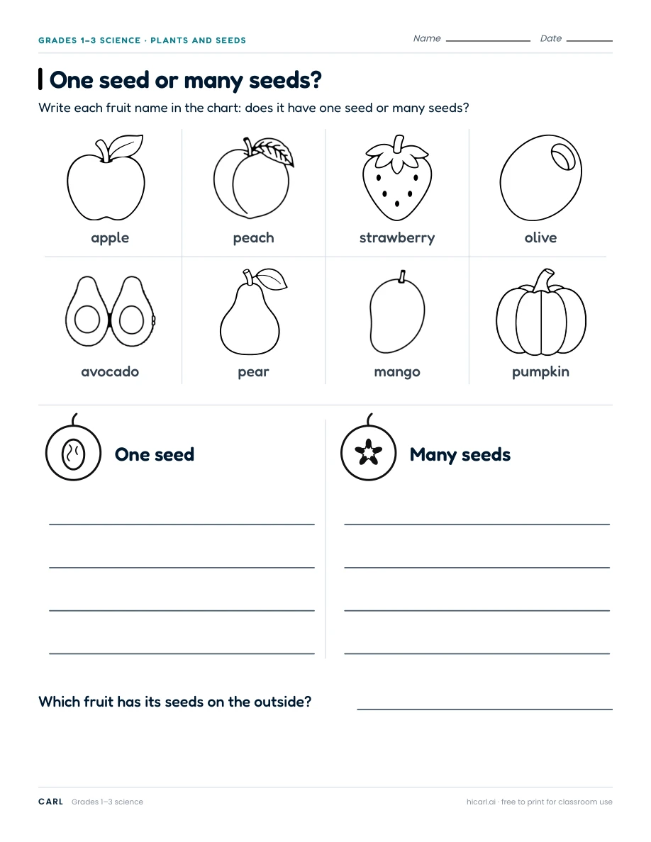 One seed or many seeds? worksheet preview