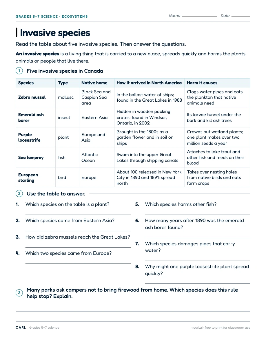 Habitats, biomes and invasive species worksheets preview