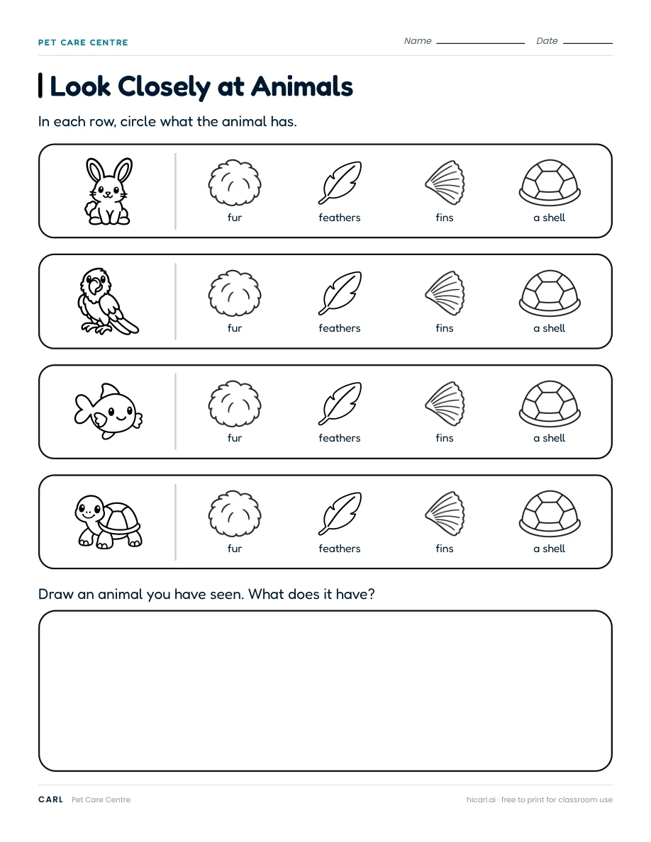 Pet Care Centre: Look Closely at Animals worksheet preview
