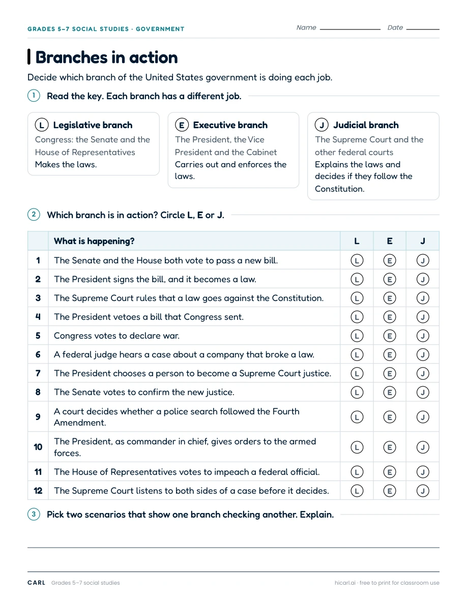 US government branches practice worksheets preview