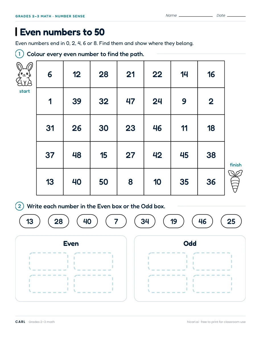 Even numbers and calendar counting worksheets preview