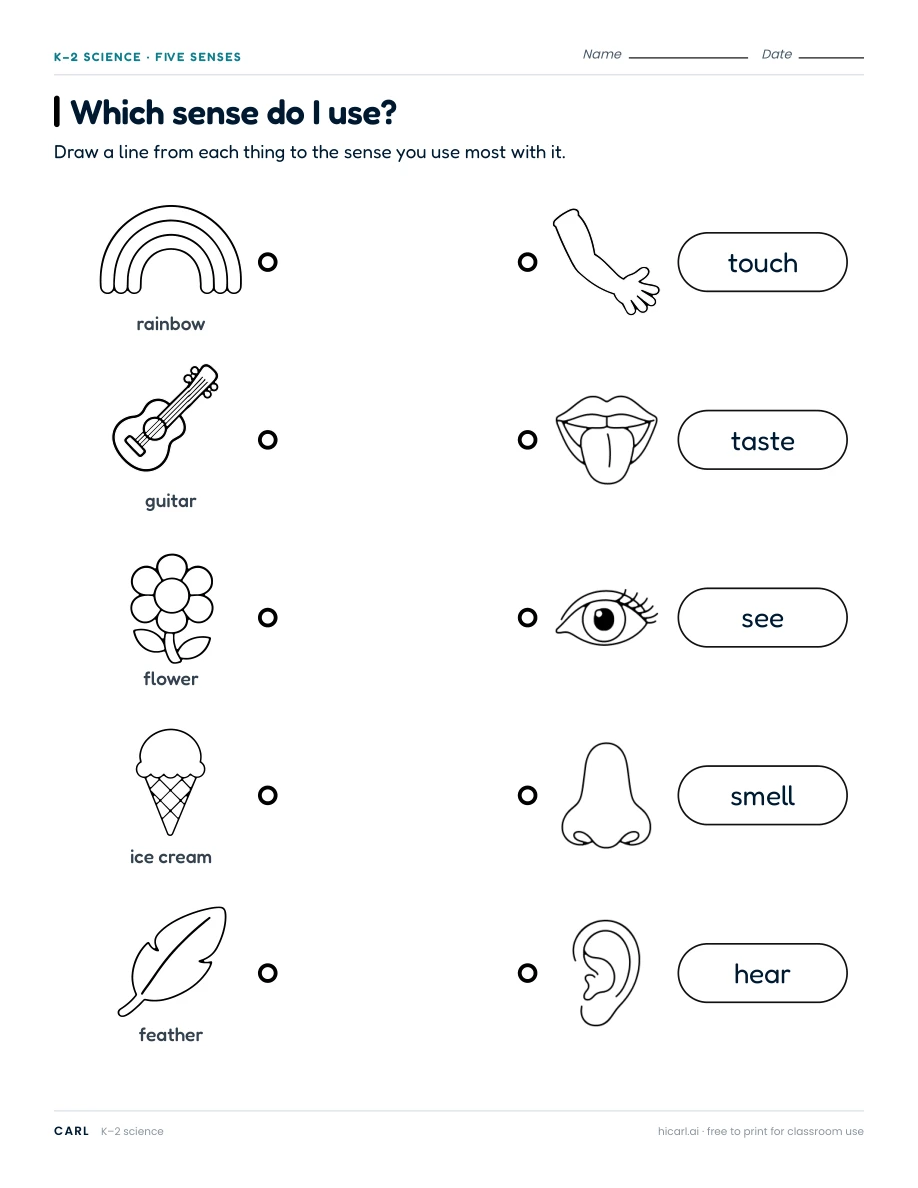 Which sense do I use? worksheet preview