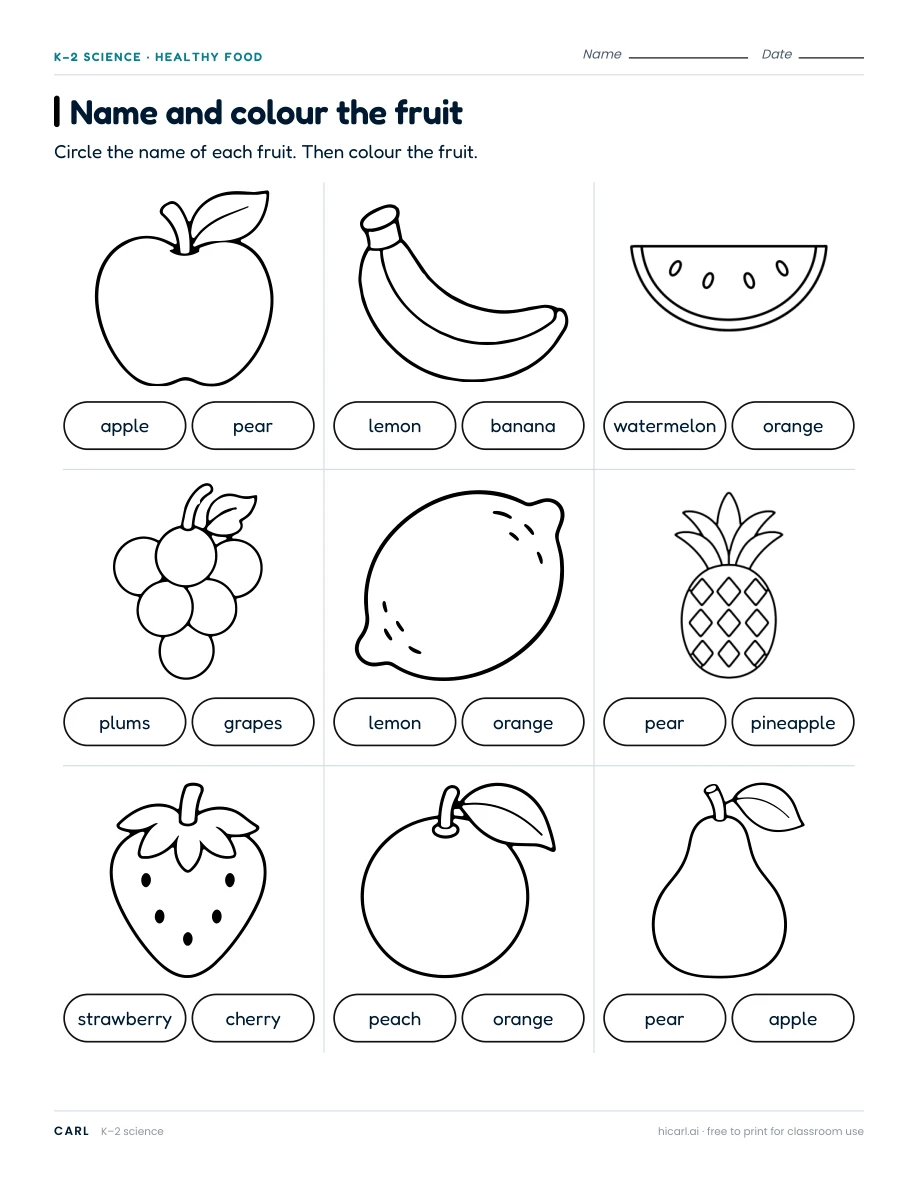 Fruit names, seeds and growth worksheets preview