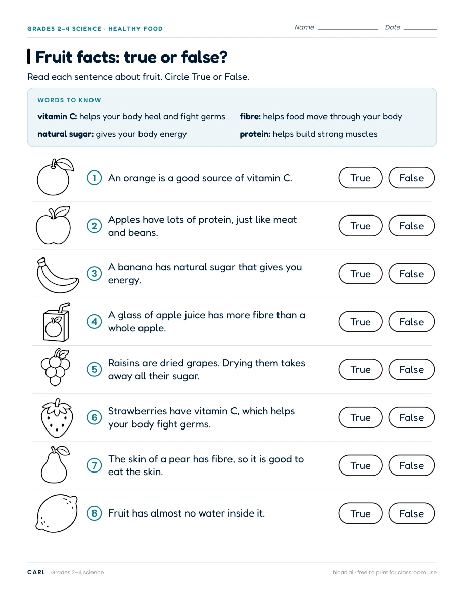 Fruit facts: true or false? worksheet preview